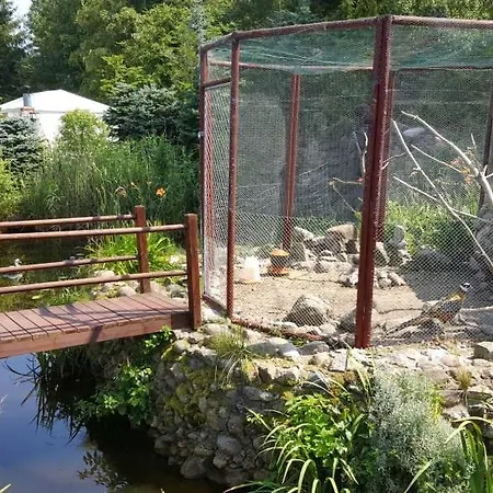 Pod Lasem Nyaraló Mrzeżyno